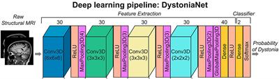 Deep Learning for the Assisted Diagnosis of Movement Disorders, Including Isolated Dystonia